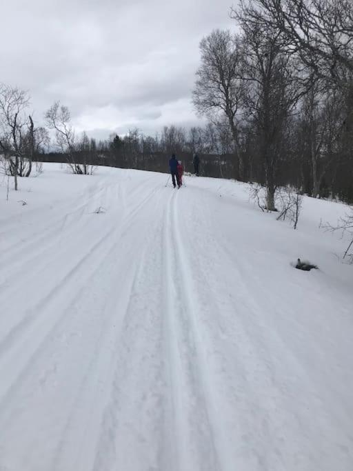 Trivelig Fritidshus Pa Arnes, Senja Straumstad Extérieur photo