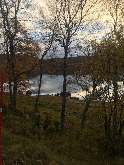 Trivelig Fritidshus Pa Arnes, Senja Straumstad Extérieur photo