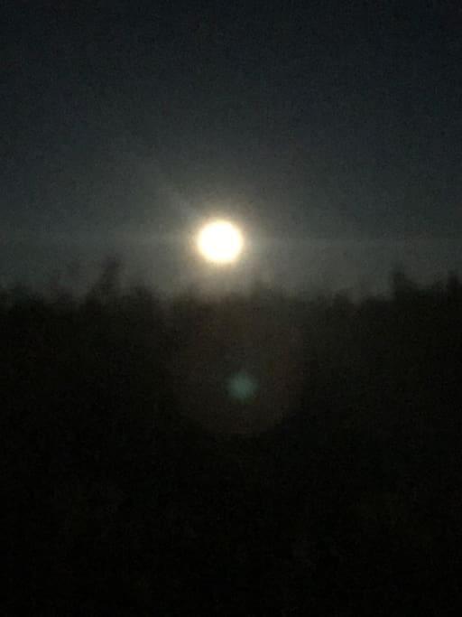 Trivelig Fritidshus Pa Arnes, Senja Straumstad Extérieur photo