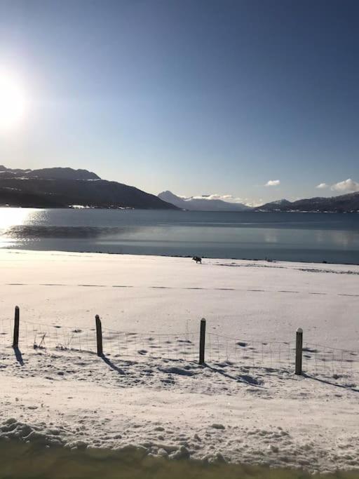 Trivelig Fritidshus Pa Arnes, Senja Straumstad Extérieur photo
