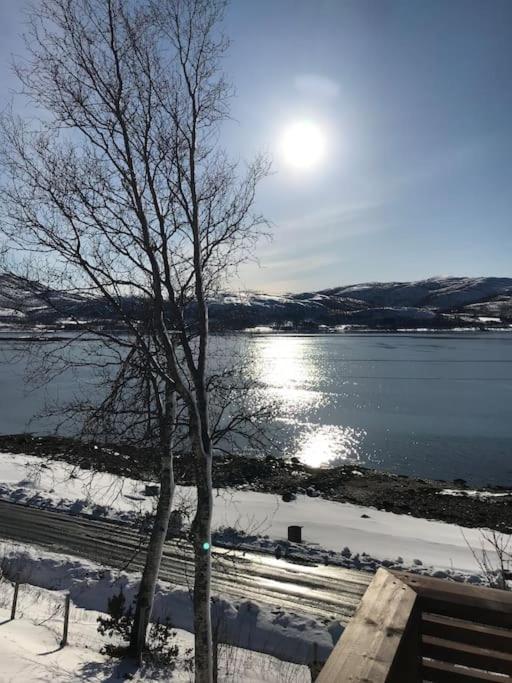 Trivelig Fritidshus Pa Arnes, Senja Straumstad Extérieur photo