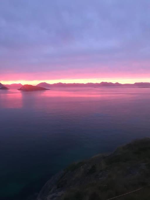Trivelig Fritidshus Pa Arnes, Senja Straumstad Extérieur photo